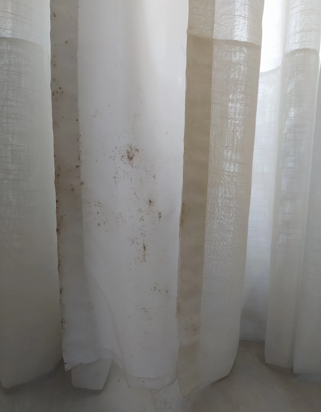 Antes da higienização de cortinas: tecido com manchas e mofo visíveis